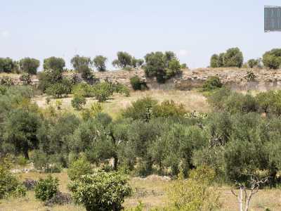 ...ci ritroviamo immersi in un ambiente dominato dalle pareti rocciose del canyon, costellate da una serie di grotte i cui ingressi sono in parte ostruiti dalla vegetazione